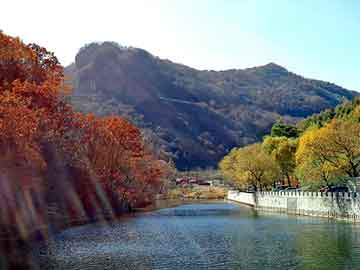 新澳天天开奖资料大全旅游团，朝鲜饿死人